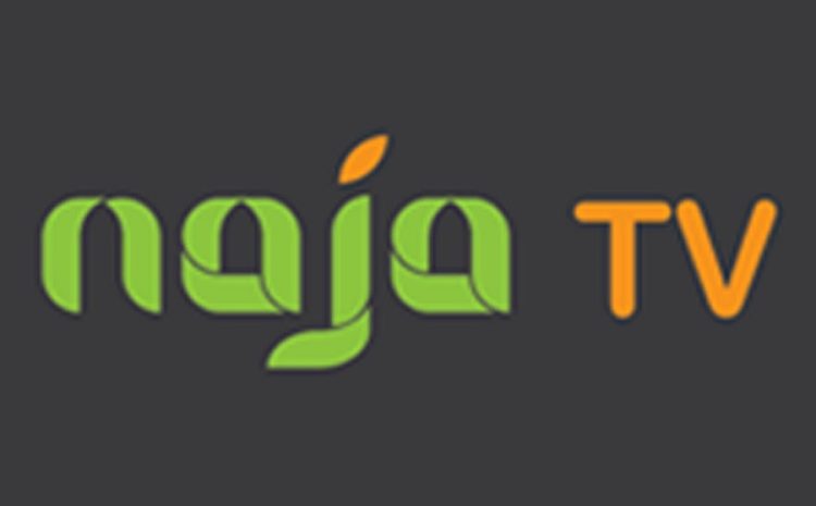 Naja TV : Un Média Engagé au Service de l’Afrique et de la Planète